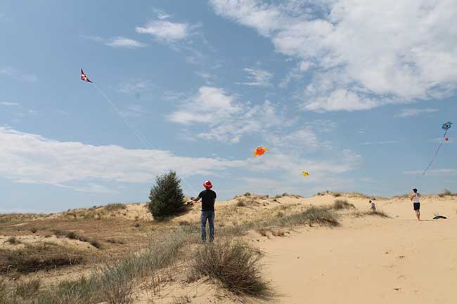 Чемпіонат повітряних зміїв